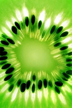 Eat Your Kiwi  