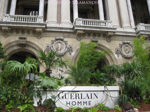 Guerlain-Jungle-Brand-Name-Bis.jpg