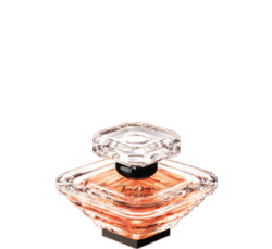 Article about Perfume Imitation & Copyrights: The Dutch Position {Fragrant Reading}