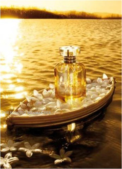 L'Occitane Notre Flore Le Jasmin - Jasmine (2008) {New Perfume}