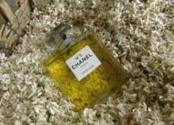 Best Article on New Chanel No.5 Eau Première {The 5th Sense in the News}