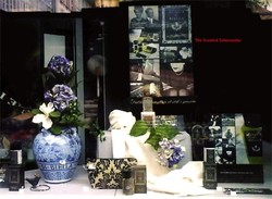 Acqua Di Biella in Dresden & Frankfurt: The Perfume Window-Display Project {Perfume Images & Adverts} {Fragrance Decoration}