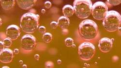 Bubbles Essential to Champagne Taste/Smell {The 5th Sense in the News}