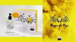 Aquolina Tweety (2008): Yellow Is Good {New Perfume}