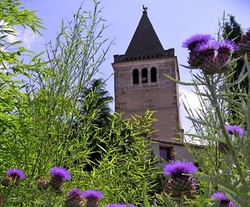 Perfume Apprenticing in a 17th Century Convent in Languedoc {Scented Paths & Fragrant Addresses}