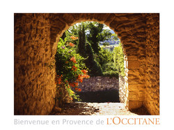 New Scents from L'Occitane {Fragrance News}