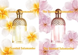 Guerlain Aqua Allegoria 2009 Tiare-Mimosa & Cherry Blossom {New Fragrances}