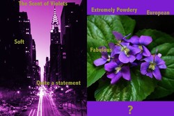 Mystery Violet Perfume in Manhattan...Please Help! {Ask Marie-Helene} {Violet Notebook}