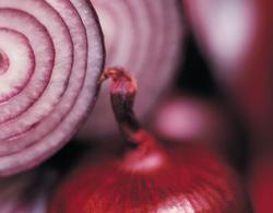 Women Smell of Onion; Men of Cheese {The 5th Sense in the News}