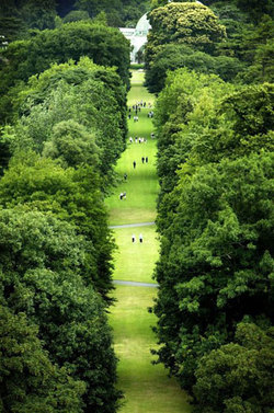 Kew Gardens' 250th Anniversary {Scented Paths & Fragrant Addresses - Green News}