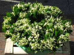 Happy Belated May Day (+ 1): Muguet from Paris {Scented Images}