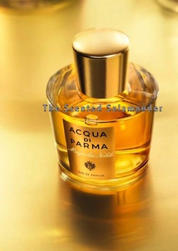 Acqua di Parma Magnolia Nobile (2009) {New Perfume} 