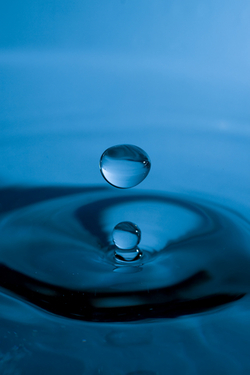 The Future of Fragrance is Water-Based: Mane, Dow Receive FiFi Technological Breakthrough of the Year Award {Fragrance News} 
