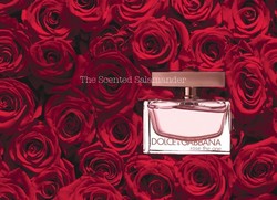Dolce & Gabbana Rose The One (2009): Fronted by Scarlett Johansson {New Perfume} {Celebrity Fragrance}
