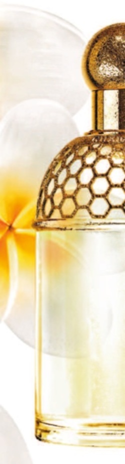 Guerlain Aqua Allegoria 2009 Tiare-Mimosa with Notes on Cherry Blossom: My Perfume Rendez-Vous {Fragrance Reviews}