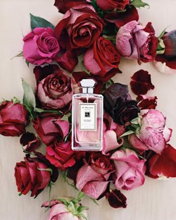 Think Pink: Jo Malone Red Roses Cologne & Bath Oil for Breast Cancer Month 09