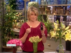 Martha Stewart The Fragrance Show {Perfume Images & Adverts}