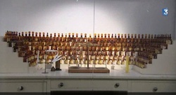 Mini Video Reportage on Grasse Colloquium on Perfumery Trends {Perfume Movies & Adverts}