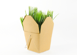 New Serenascent is Undetectable but Relieves Stress & Anxiety {Fragrance News}