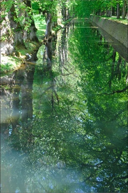 A Trip to the Fragrant Castle: Chenonceau {Scented Thoughts}