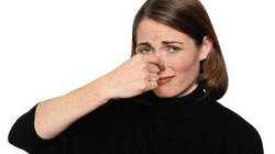 Globe & Mail is Looking for Testimonials: Are You Bothered by Perfume-Wearers at Work? {The 5th Sense in the News}