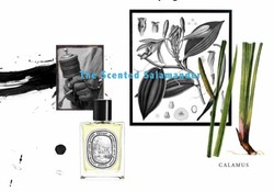 Diptyque Eau Duelle (2010): Dual Vanilla {New Fragrance}