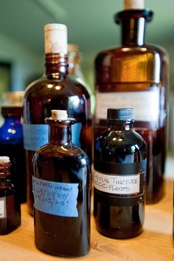 Article about Naturel Perfumers: Nature's Bounty vs. Man-Made Stench {The 5th Sense in the News}