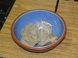 Ambergris Exhibited in Japanese Museum {Scented Paths & Fragrant Addresses}