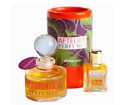 Aftelier Perfumes Candide (2010): Optimism & Jasmine {New Fragrance}