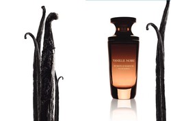 Yves Rocher Vanille Noire (2010): Secret Facet {Fragrance Review}