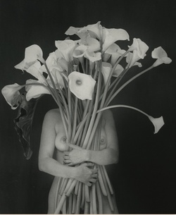 Radiant & Pristine Floral Bouquets Renew Our Sensations, Expand Space in 2010-2011 {Scented Thoughts} {Trend Alert}