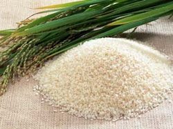 Basmati Rice is Losing its Fragrance {The 5th Sense in the News}