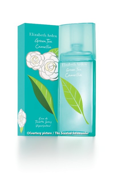 Green_Tea_Camellia_Arden_A.jpg