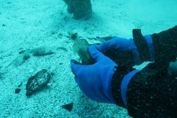 Shipwrecked Perfumes to be Analyzed {Fragrance News}