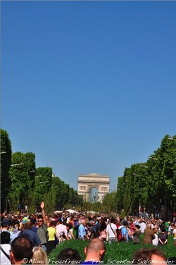 After New York, Diane by Diane Von Furstenberg will Launch on the Champs-Elysées in Paris {Scented Paths & Fragrant Addresses}