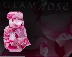 Les Parfums de Rosine Glam Rose (2011) {New Fragrance}