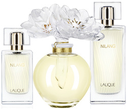 Relaunch of Nilang by Lalique (1995/2011) {New Perfume}