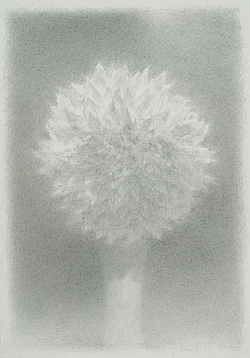 White Accords in Perfumery: So Long The 70s {Scented Thoughts}
