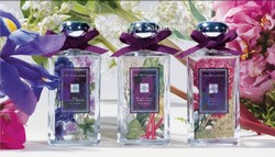 Jo Malone London Blooms Collection (2012) {New Fragrances - Limited Editions}