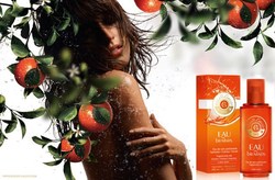 Roget et Gallet Eau des Bienfaits (2012) {New Fragrance} {Beauty & Olfaction}