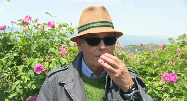 Jacques_Polge_roses.jpg