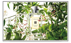 Lovely New Perfume Visual from Jo Malone {Perfume Images & Ads}