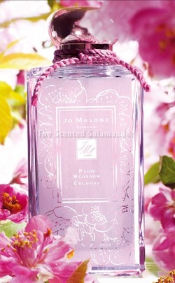 Jo Malone Plum Blossom (2012) {Perfume Review & Musings}