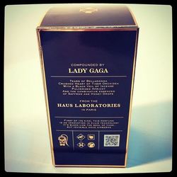 Lady Gaga on Fame: "Oh you fashion editors I could just crinkle my hands at you!" {Fragrance News} {Celebrity Perfume}