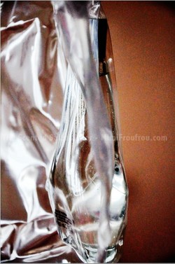 Olfactory Observation #7: One Day There will be a Fragrance called "Niche Perfume"