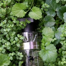 Ineke Hothouse Flower (2012) {New Perfume}