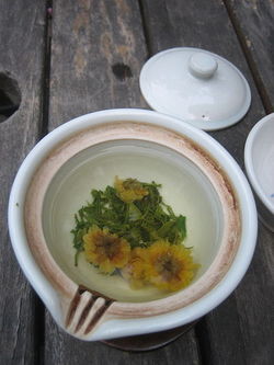Robert Piguet Blossom (2012): Impression of Flowering Tea in the Mouth {Perfume Review & Musings}