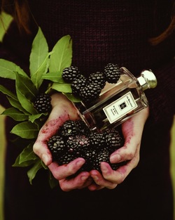 Jo Malone Blackberry & Bay (2012): Natural, Forest-y Musk {Perfume Short (Review)}