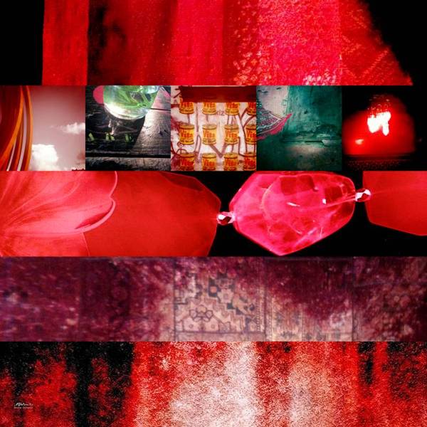 heliotrope_shawl_olivier_durbano.jpeg