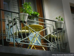 Balconies with Geraniums in Paris are Ubiquitous {Scented Paths & Fragrant Addresses} {Perfume Shopping Tip}